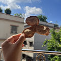 一两陈皮一两金，百年陈皮胜黄金🌞