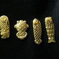集齐了一套小鱼