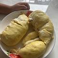 榴莲季 今日开的榴莲