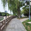 大运河边悠闲散步