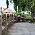 大运河边悠闲散步