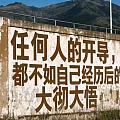 败家娘们说的就是我