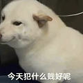 关于和同事之间的边界感