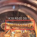 为了看清小肥啾翅膀上的刻印，我也是拼了…