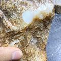 请帮忙看看这个料可以碰吗？