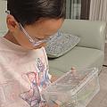 又入新宠物