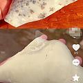 大佬们怎么看玉石优化洗白洗脏拔猴毛？