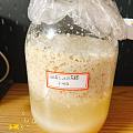 生活日常之泡青梅酒，酿酒（荔枝酒）