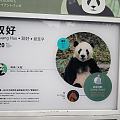 好可爱好安逸