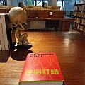 端午去书店