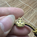 new cat