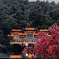 觉醒了爬山基因