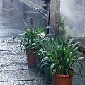 分享一些烟雨江南