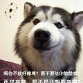 爱存不存宇宙行真是烂死了