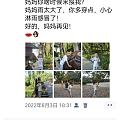 来论坛也夸夸我的崽