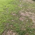 听说赤脚走路晒太阳可以治抑郁