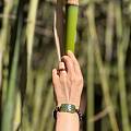 简单清爽