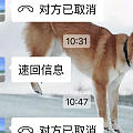 分管领导一到周六周日就打电话让调数据咋整