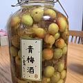 泡了两坛酒