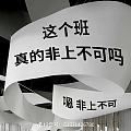 看了昨晚的撕贴