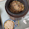 周五吃美食咯