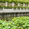 心平气荷