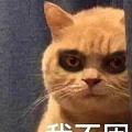 每天夜跑完最大的满足