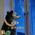 不缺钱，有没有必要抛实物黄金。。横盘这么久有点忍不住😆