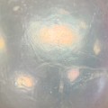 GRC宝石实验室显微观察记录分享