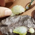 可爱的小蟾蟾