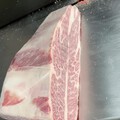 来猜等级和部位，看看有多少坛友懂货的，猜对送金币