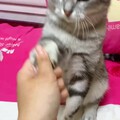 又学会一个新技能