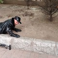我做了好人好事😁