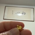 校长家团的小南瓜