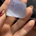 冰紫扣子，豆子和蛋面，一起期待下一次的蜕变。