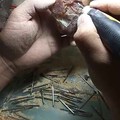 俏皮巧雕，一直是我喜欢的设计……