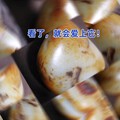 荷花籽镯，美丽绽放……😜