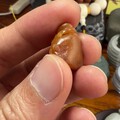 栗子黄小老鼠