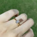又开团了,带图给大家种草