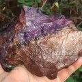 赌性好大这块 打算切了