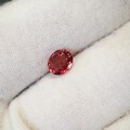 大家看来对猜石头比较感兴趣，那就继续猜吧
