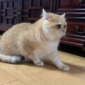 你们见过这么怂的🐱幺儿吗😅