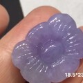 浓紫牡丹花
