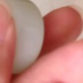满皮的肥扣！😜