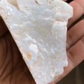 野牛沟糖包白