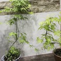 周末早！