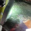 定了个碧籽手镯，花了2000
