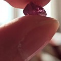 一颗很像碧玺的粉紫尖晶石，实在是太漂亮了😂😂😂