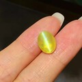 #泰勒彩宝#7.26ct 金绿猫眼