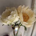 记落日珊瑚，开时莫放艳阳回